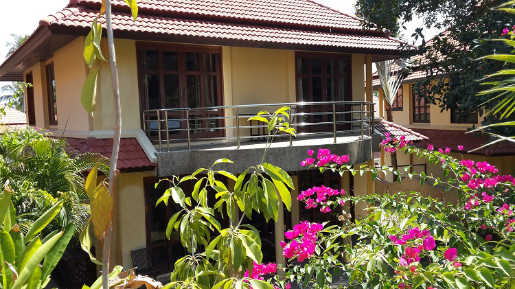 Tropical Garden House - rear view